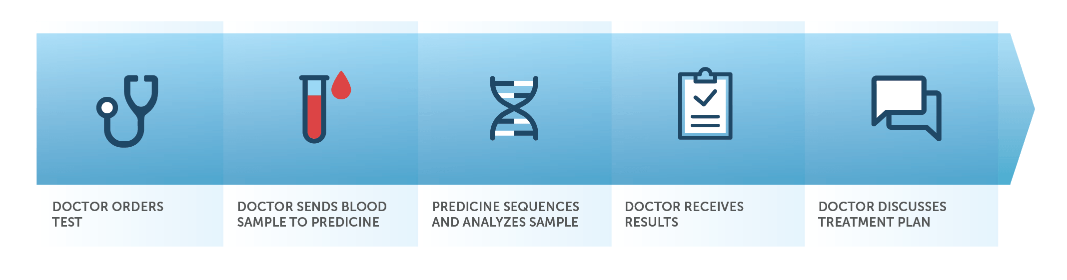 PredicineCARE workflow