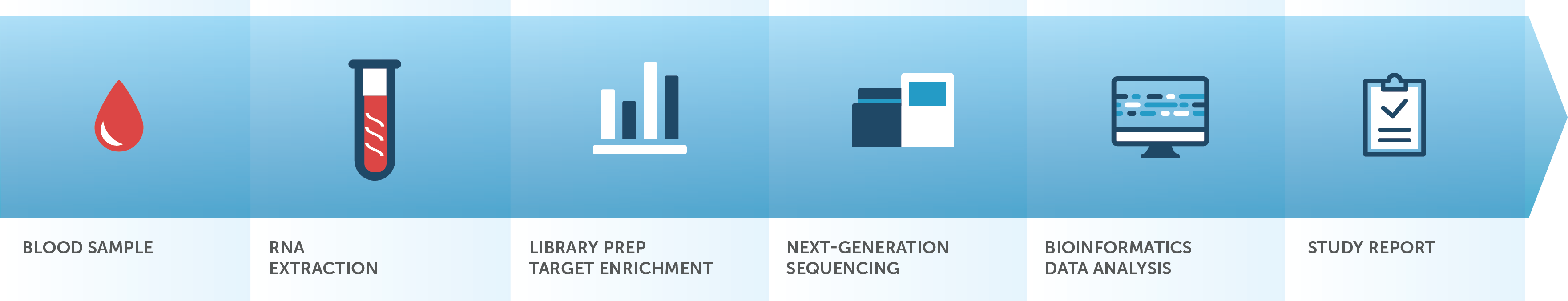 PredicineRNA workflow
