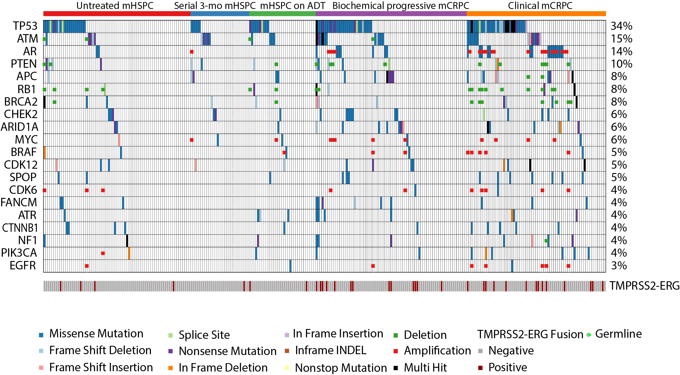 Molecular heat map of mCRPC